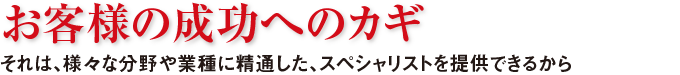 お客様の成功へのカギ　それは、様々な分野や業種に精通した、スペシャリストを提供できるから