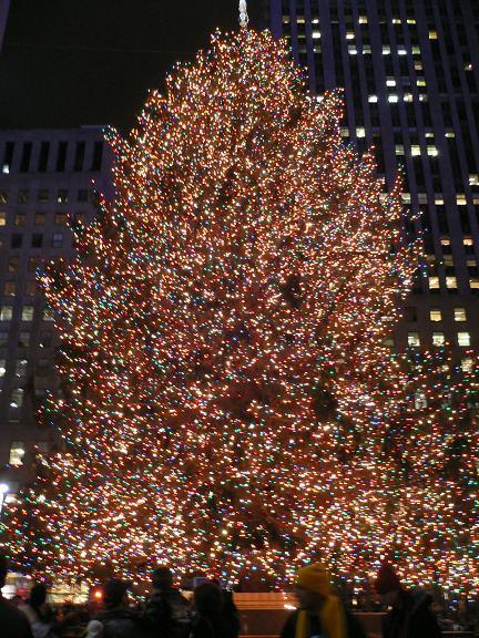 tree-NY-1.jpg